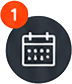 icon1